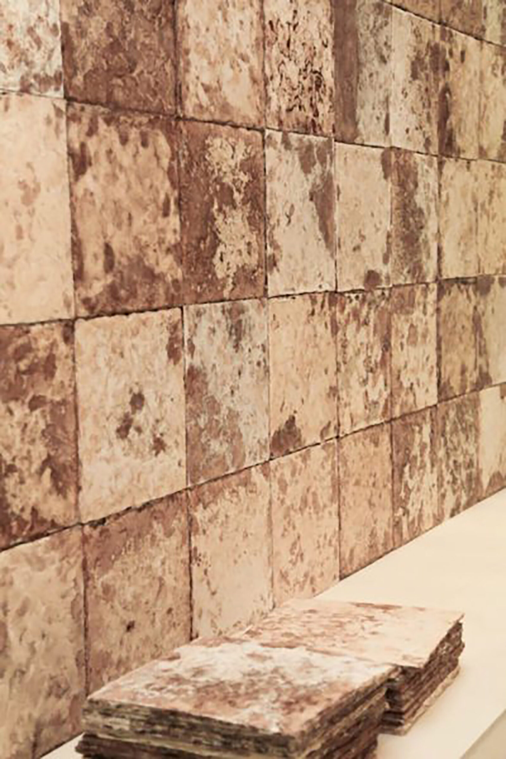 NATURALE ARCHITETTURA BIO FUNGHI MICELIO DESIGN VERDE PIANTE ICONA
